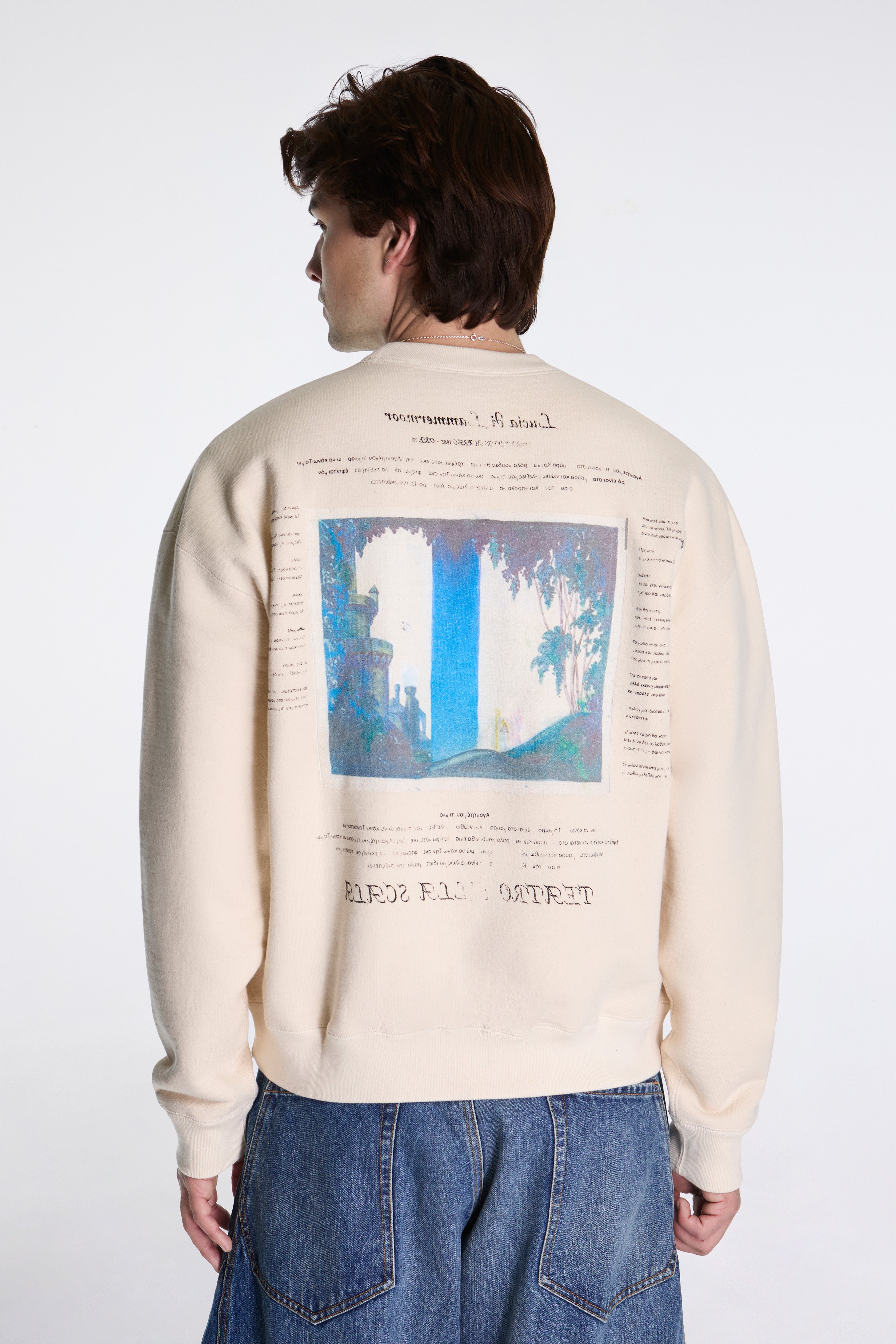 Printed Sweat Shirt Oatmeal
