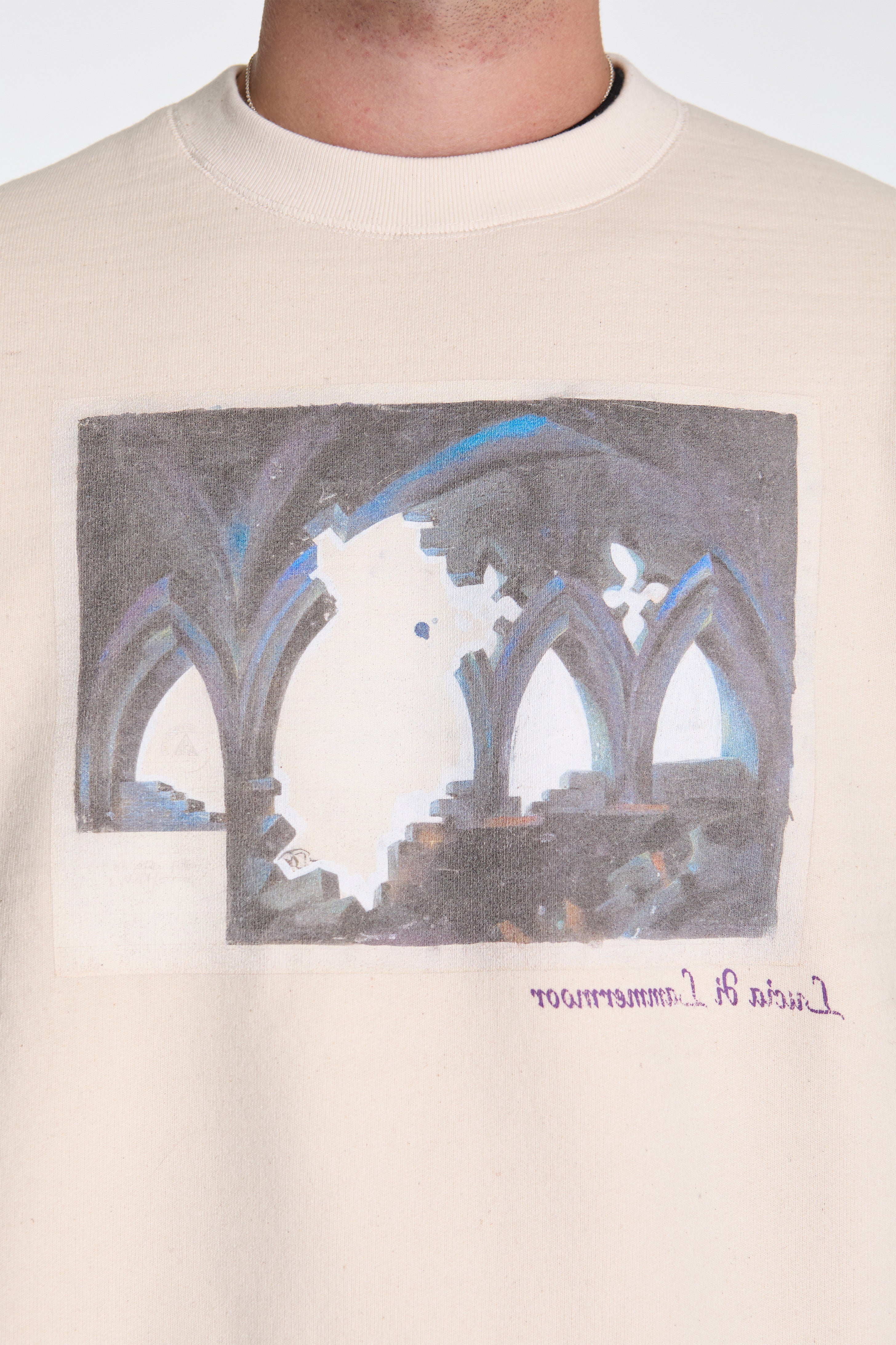 Printed Sweat Shirt Oatmeal