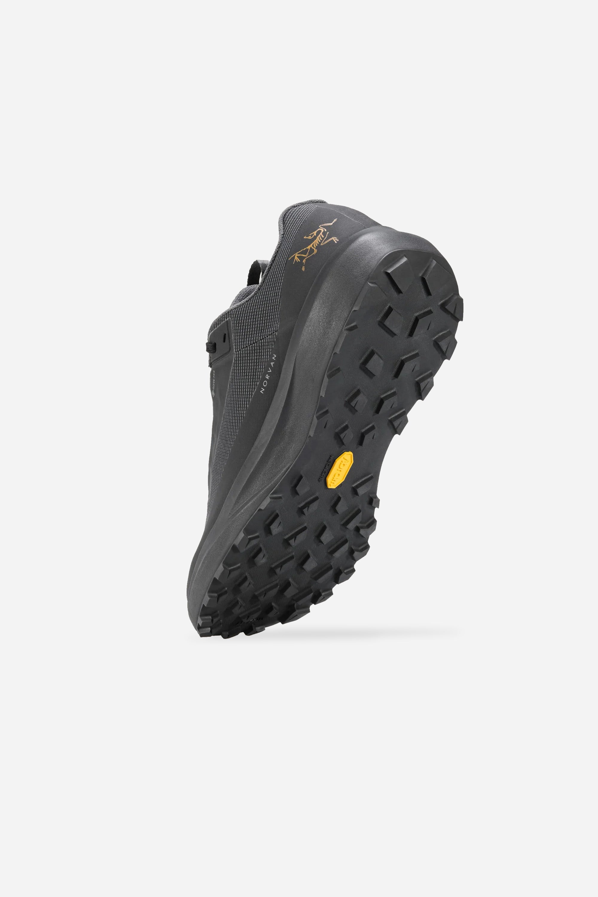 Norvan Ld 4 GTX Men Black/Black