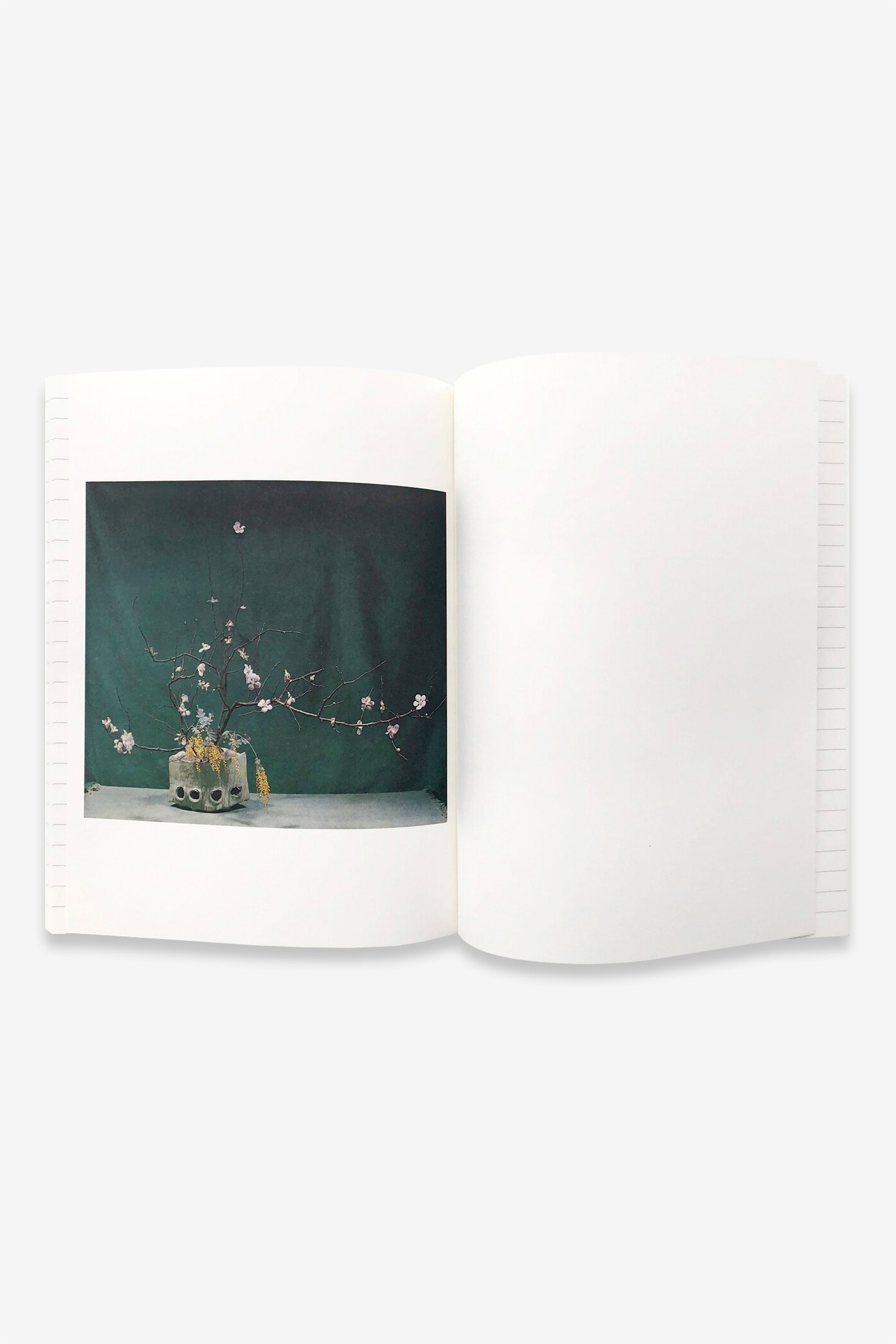 Ikebana - An IDEA Book