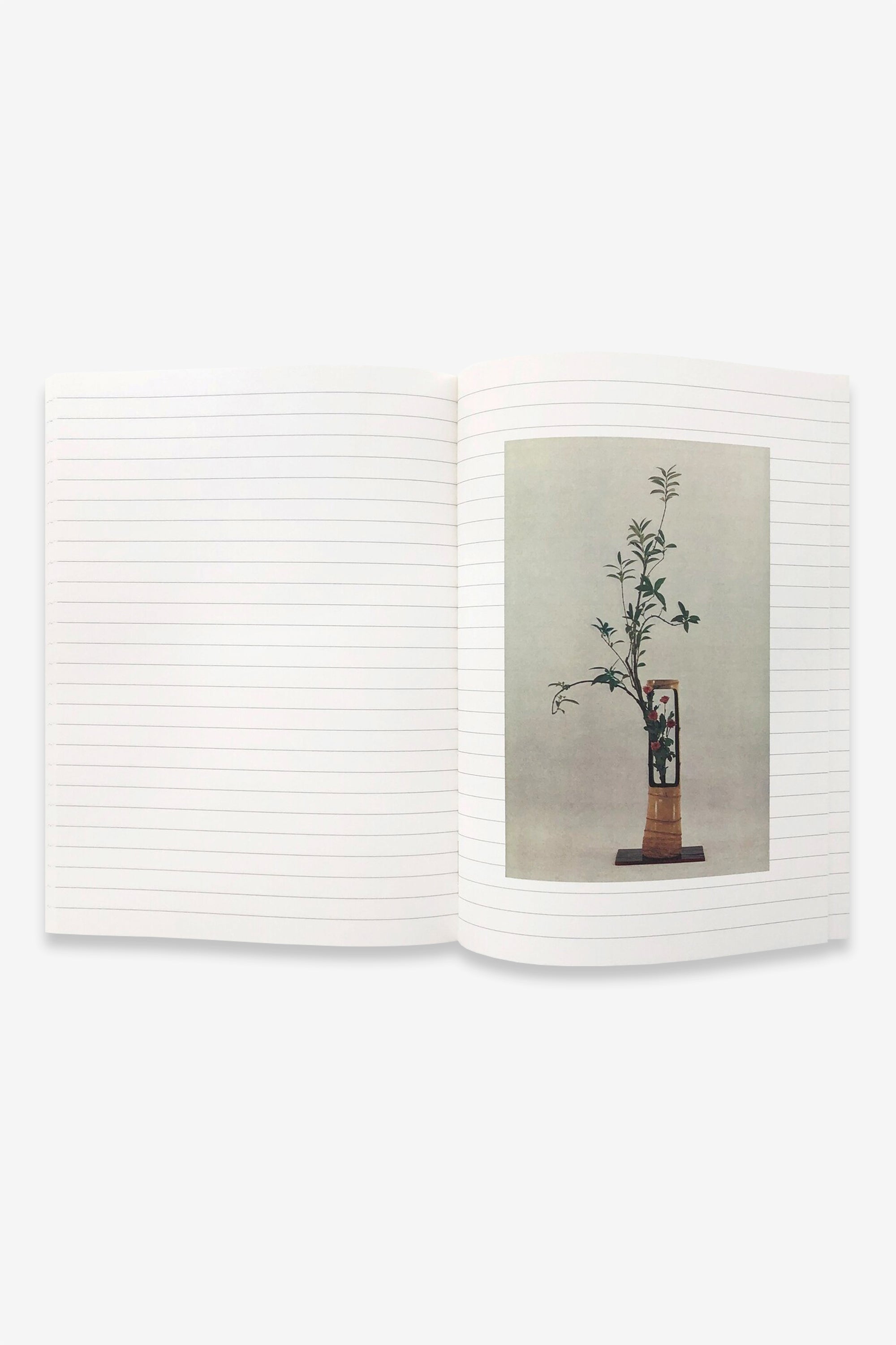 Ikebana - An IDEA Book