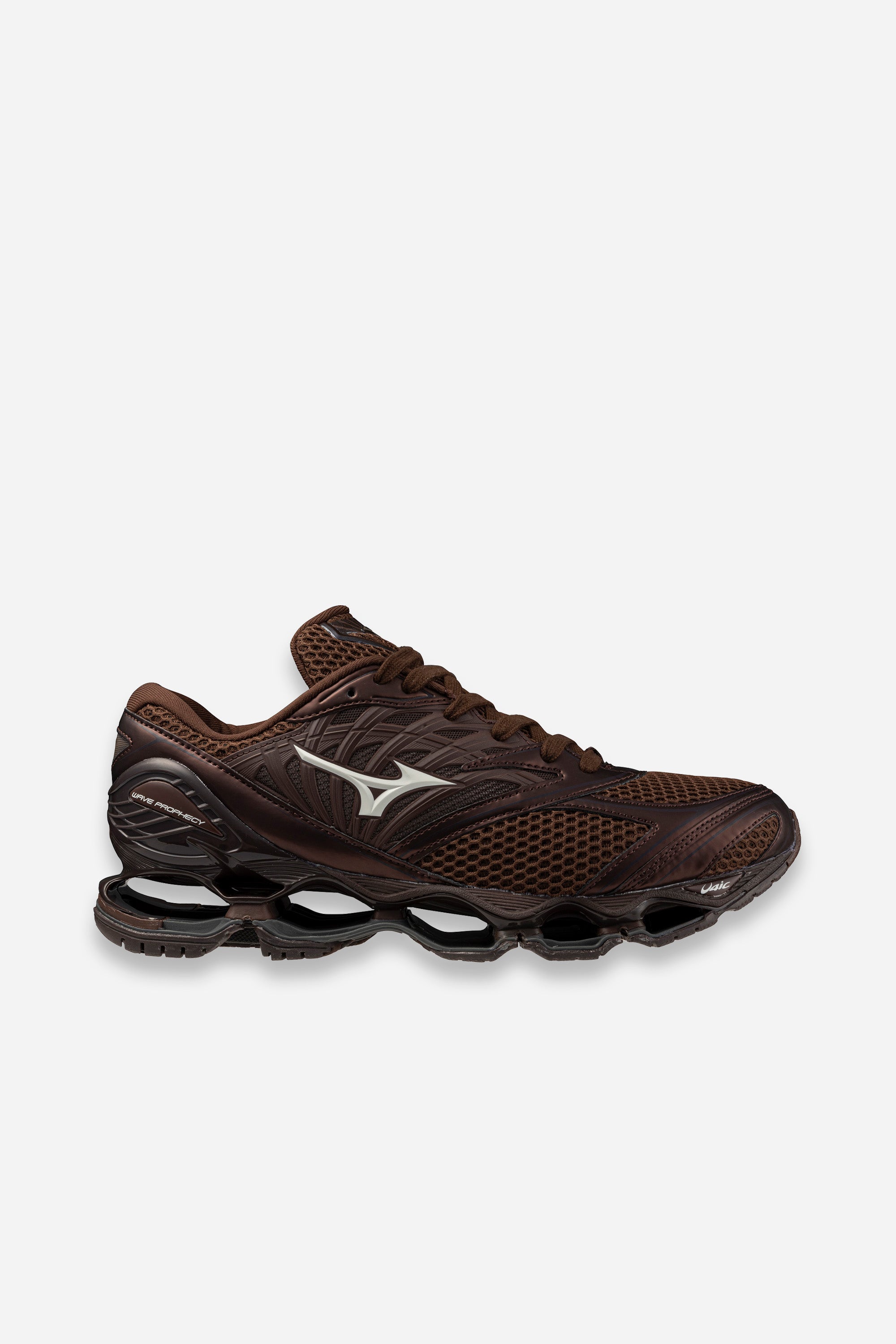 Wave Prophecy LS Chicory Coffee/Black/Chicory Coffee