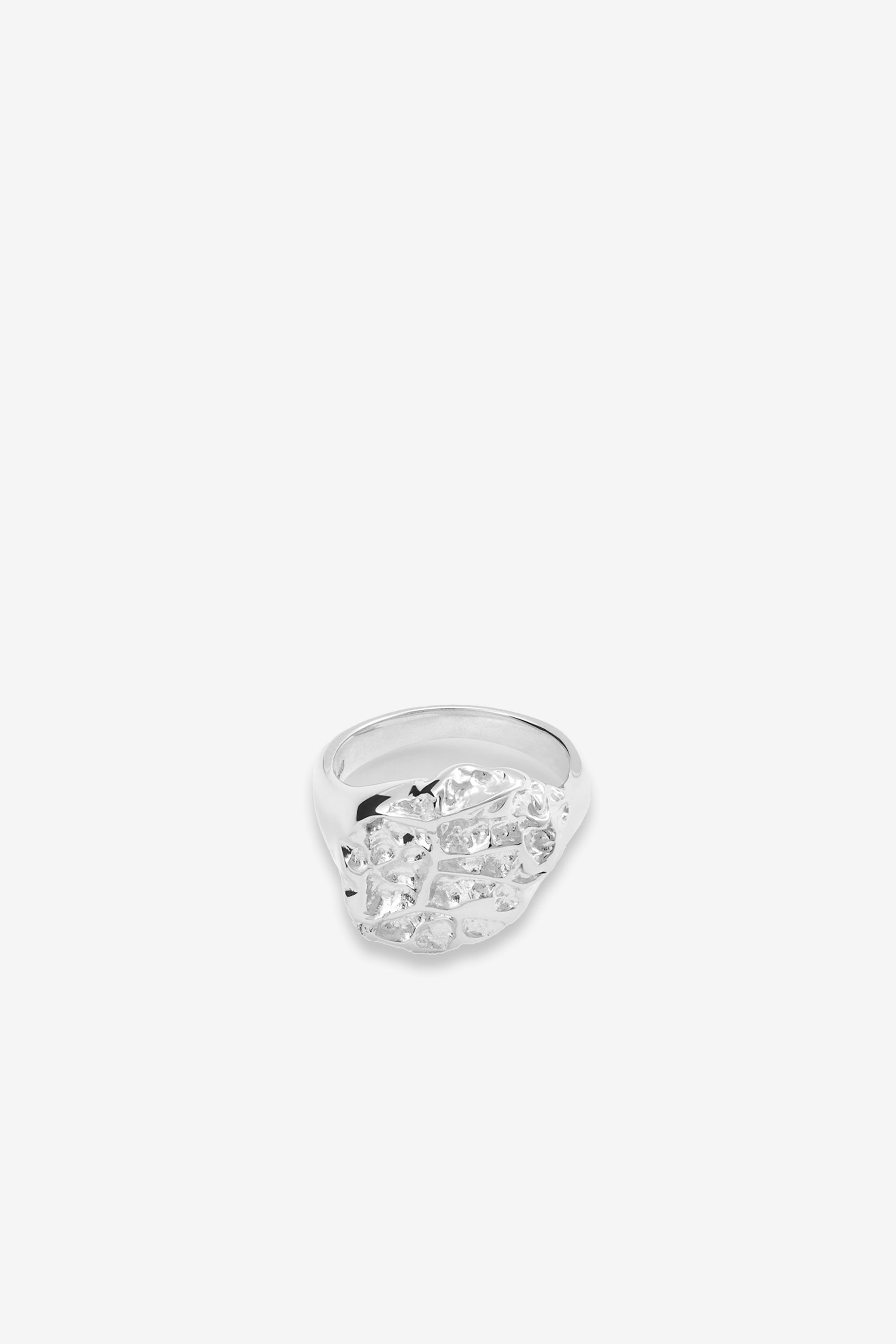 Cavolo Signet 925 Silver