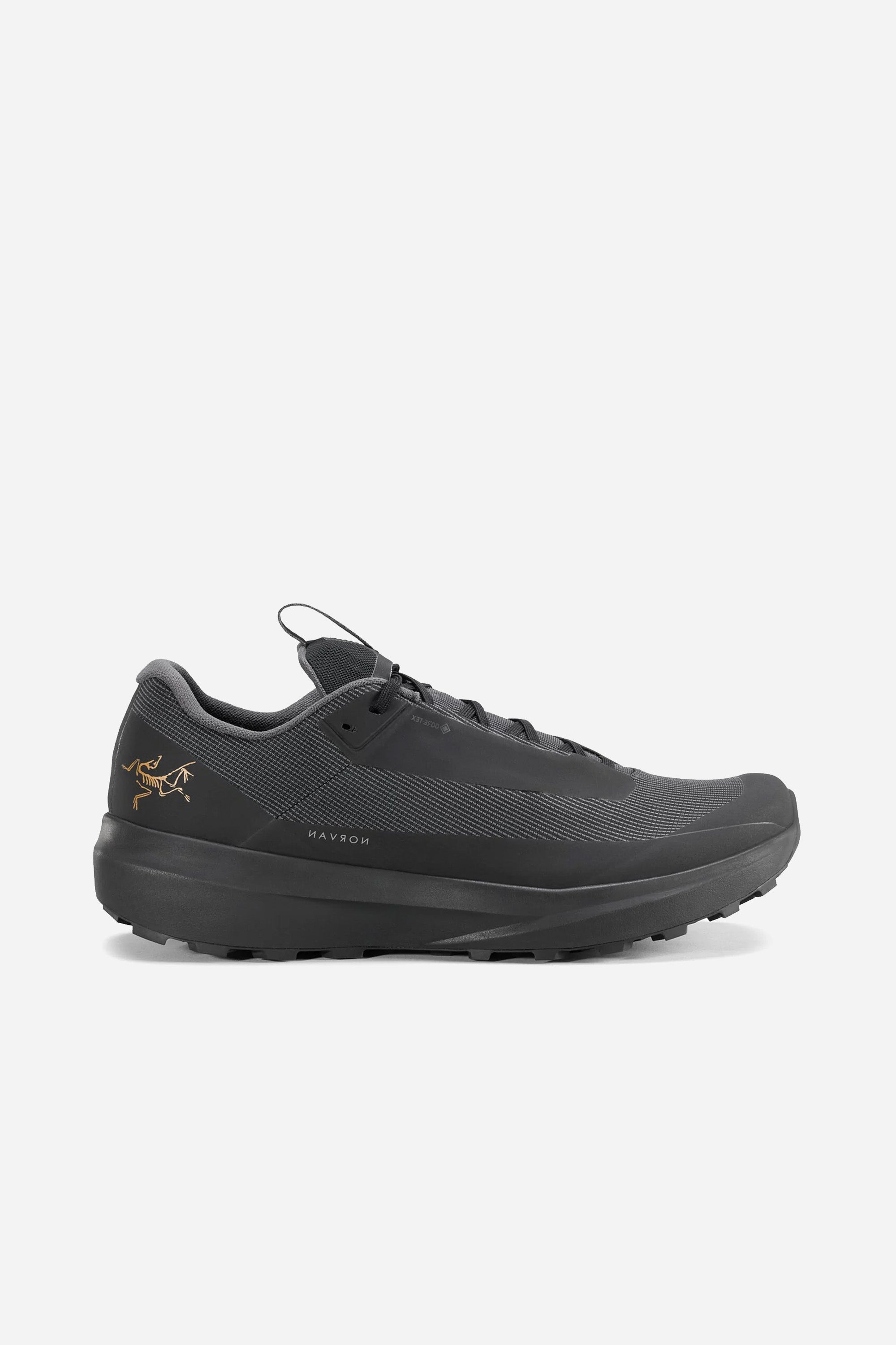Norvan Ld 4 GTX Men Black/Black
