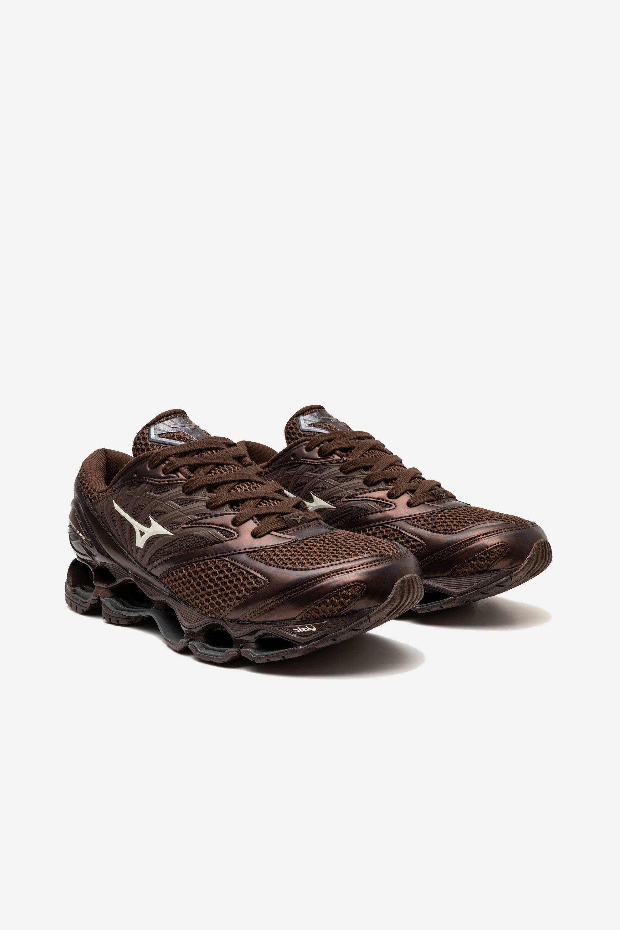Wave Prophecy LS Chicory Coffee/Black/Chicory Coffee