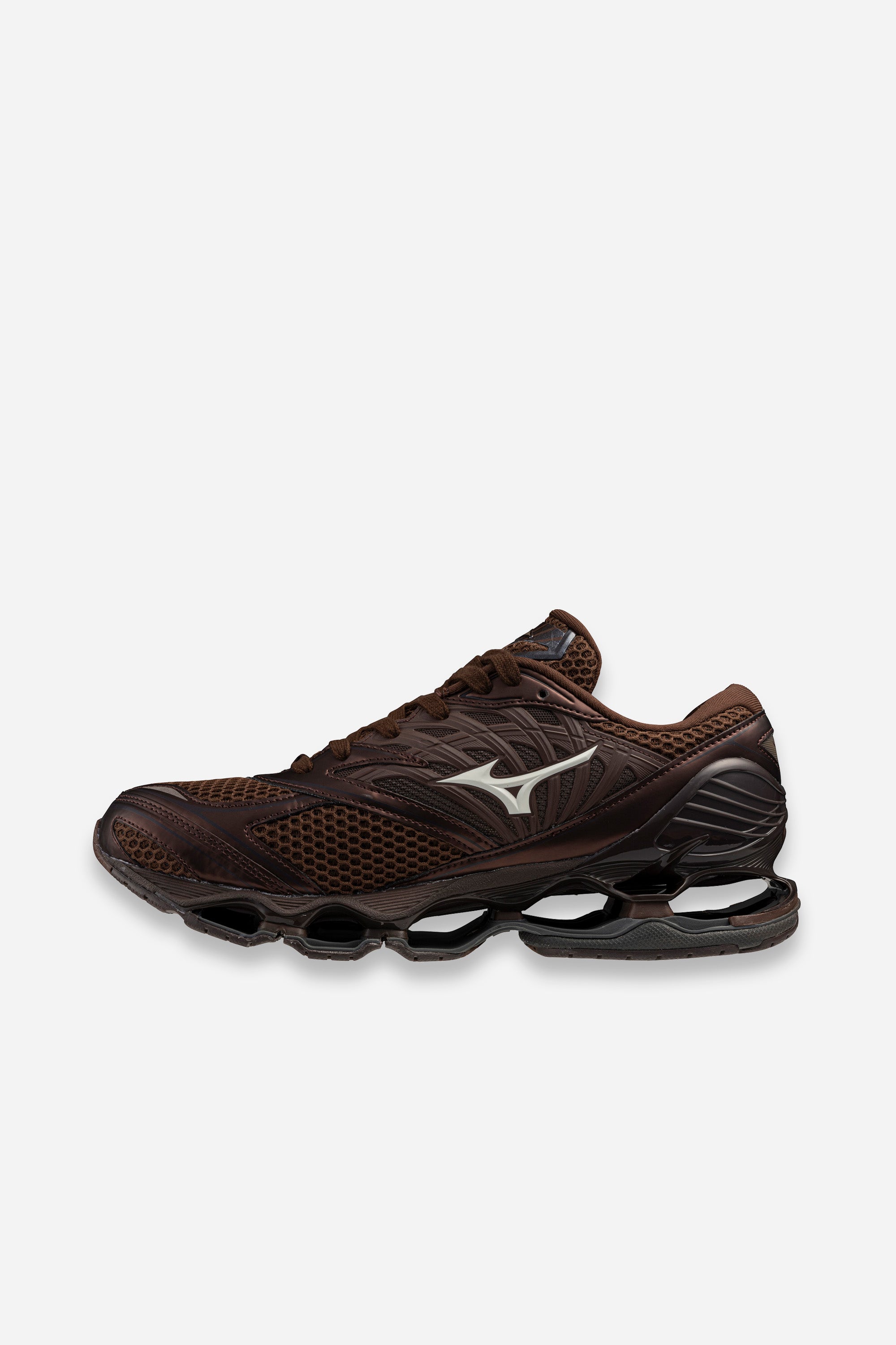 Wave Prophecy LS Chicory Coffee/Black/Chicory Coffee