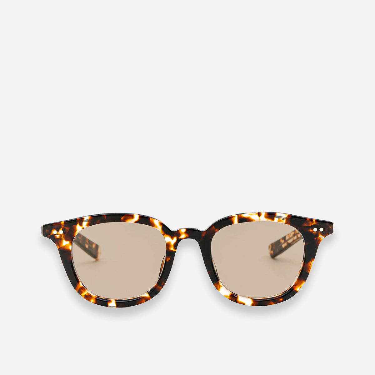 Native Sons Guerrero 46 Honey Tortoise Honey Tortoise