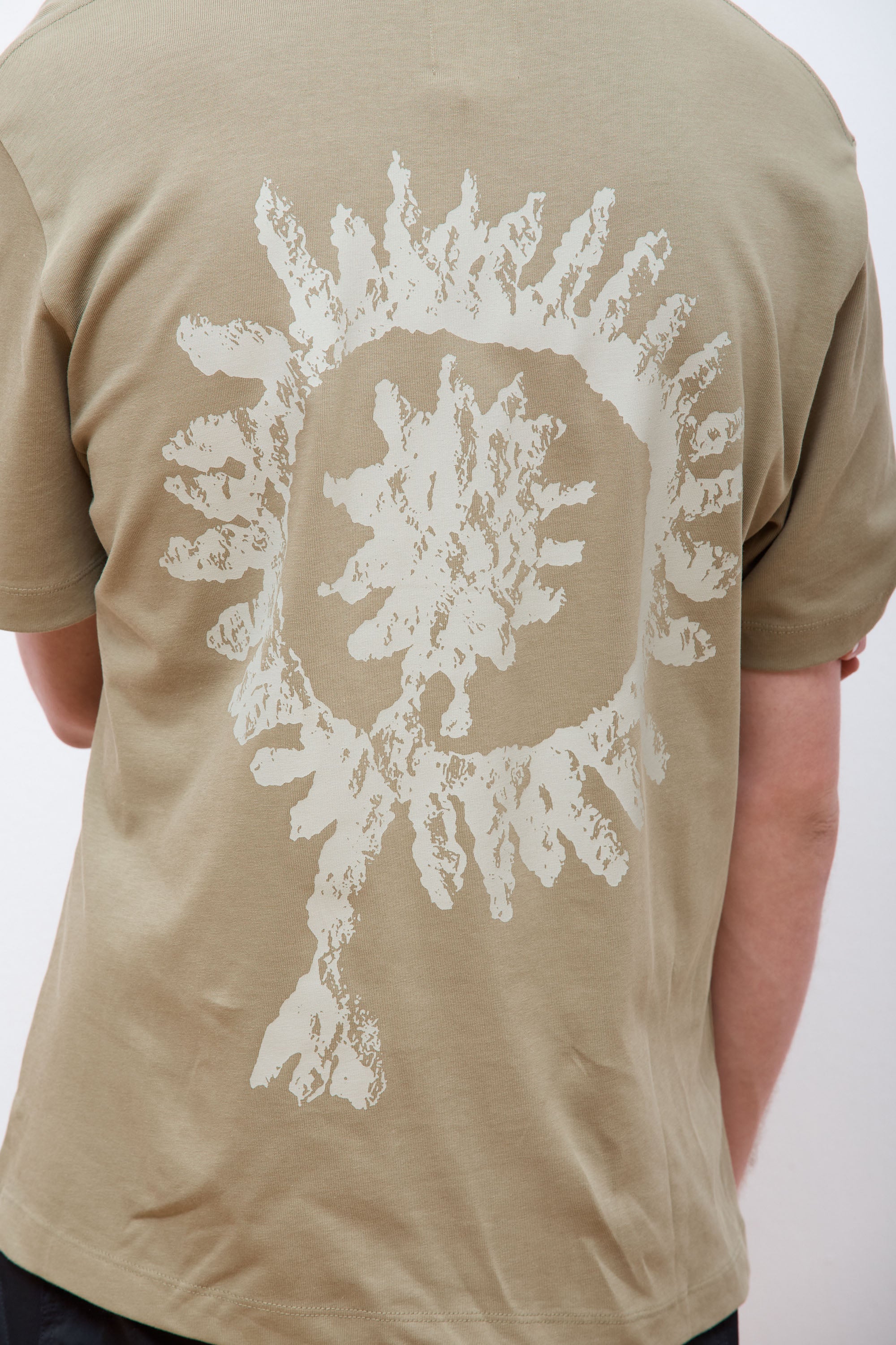 Shortsleeve Graphic Aloe