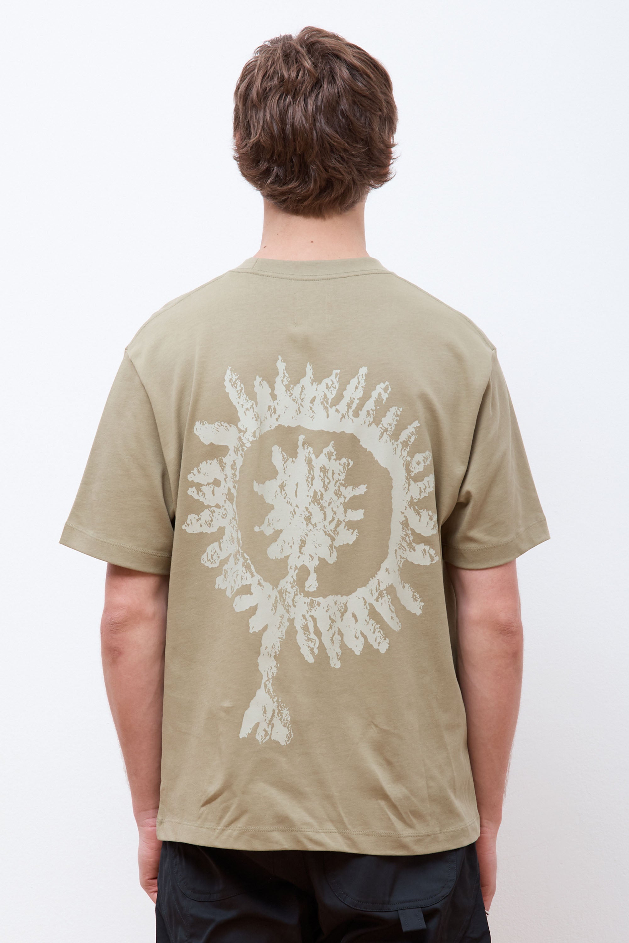 Shortsleeve Graphic Aloe