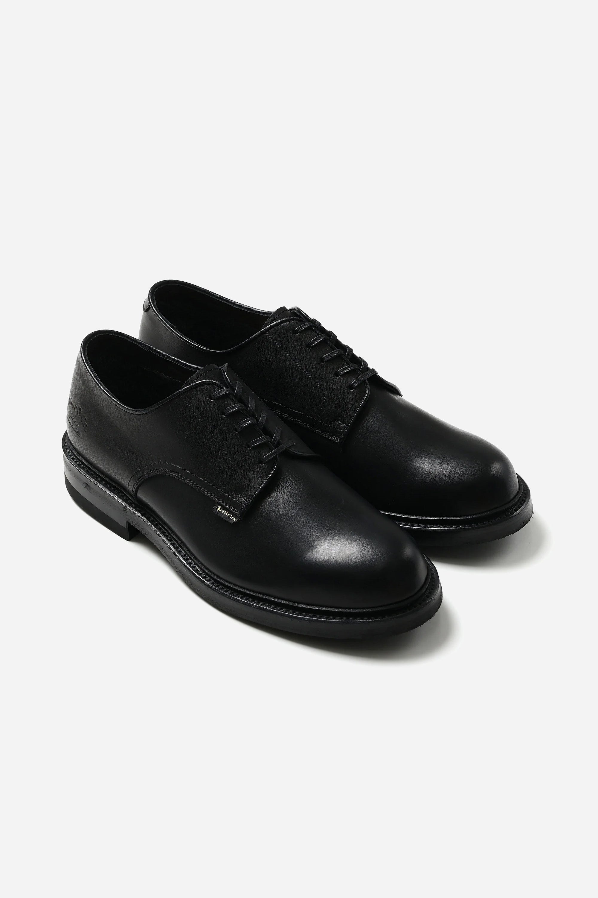 Regal Shoe & Co.Plain-Toe GTX Black