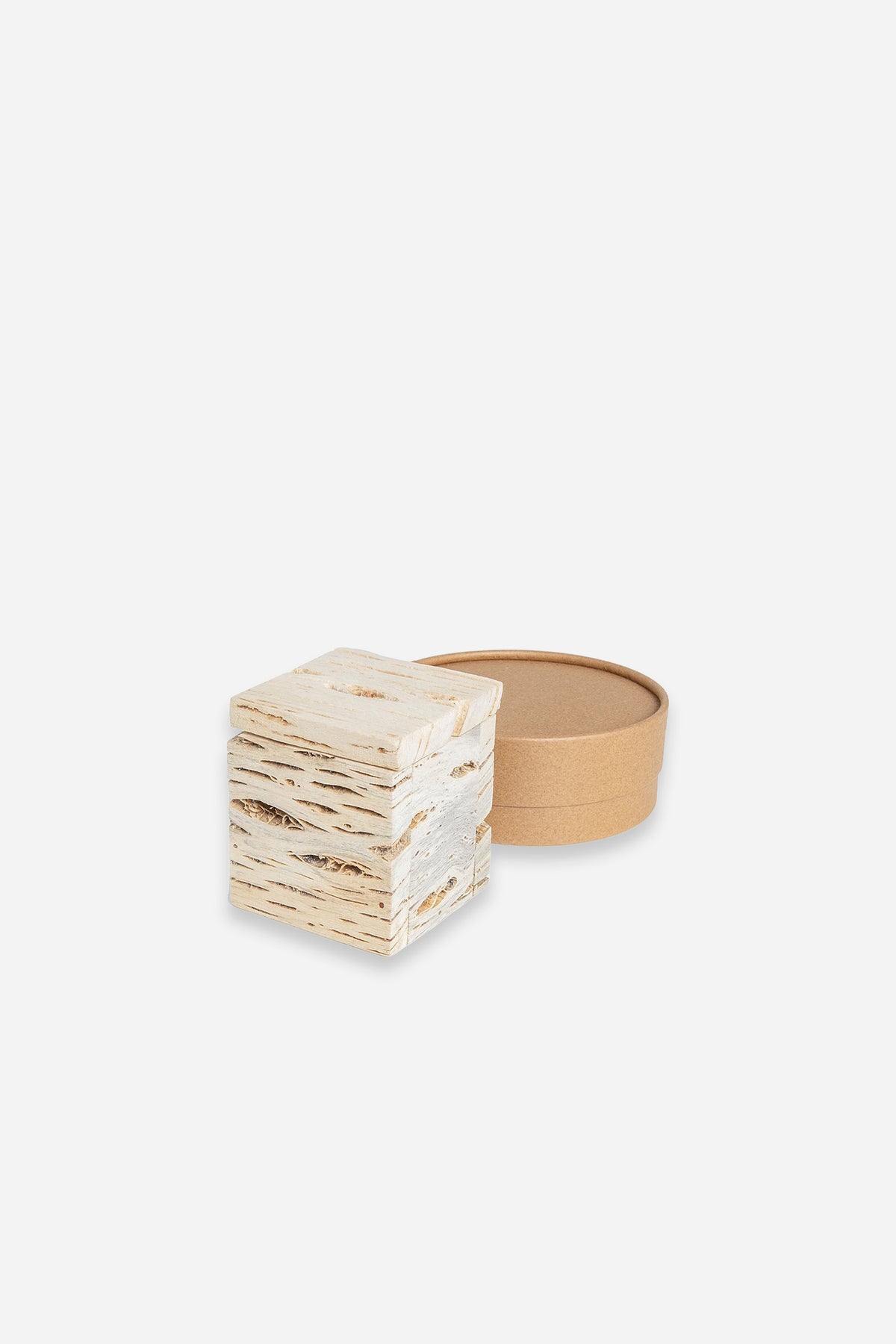 Beach Incense In Cactus Case Natural
