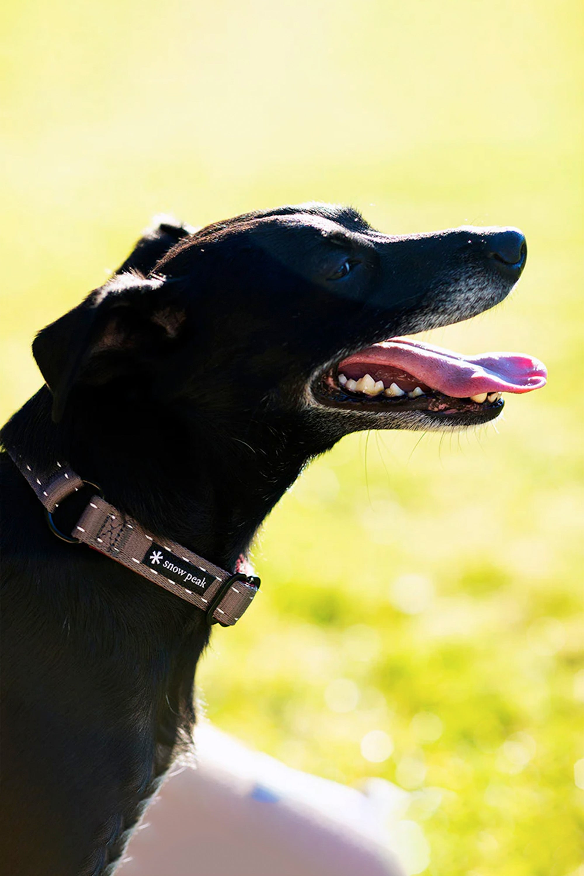 SP Slip Collar S