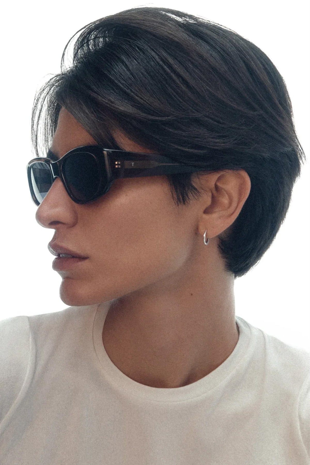 The Al Crystal Brown Frame & Black Lens