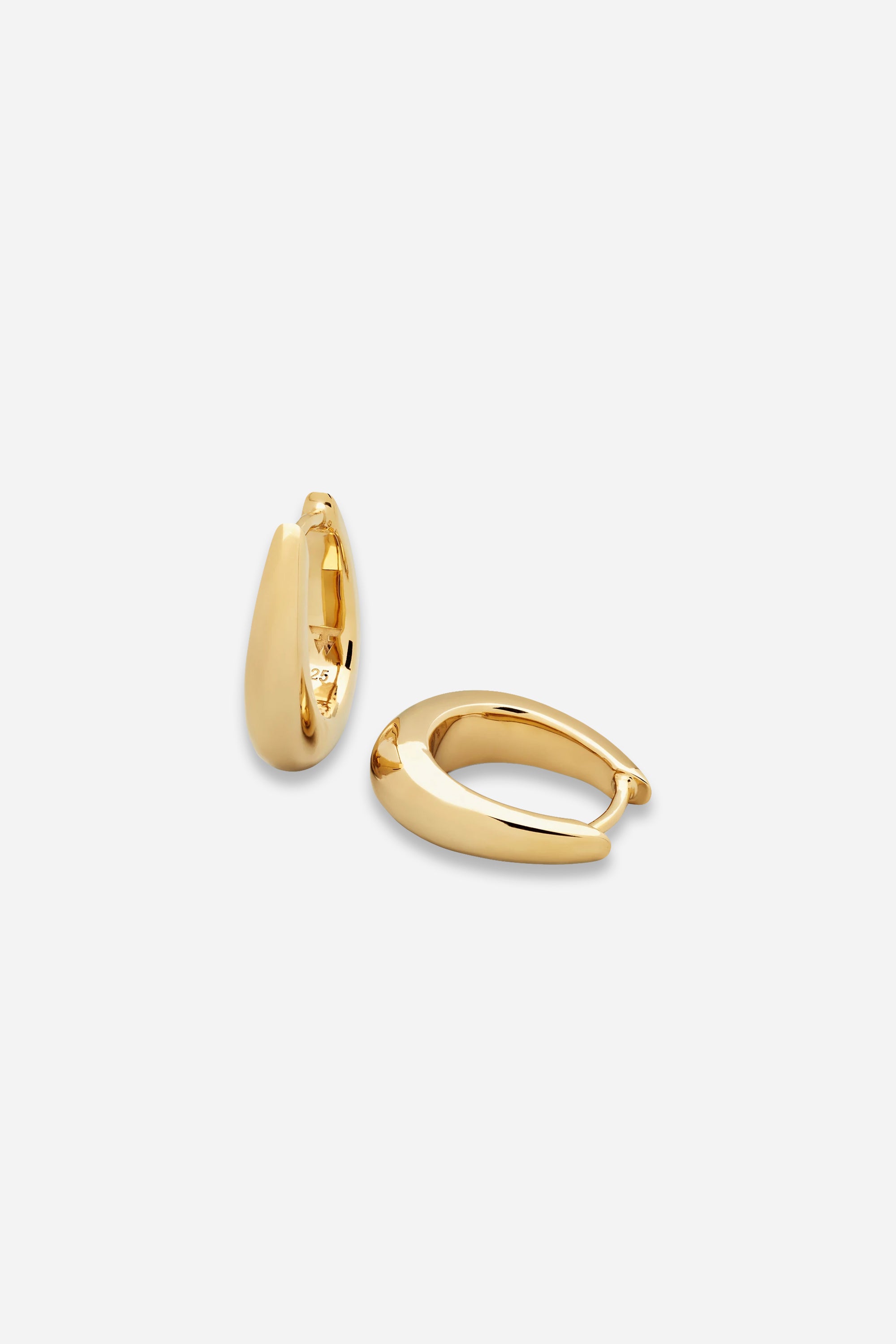 Liz Hoops Gold